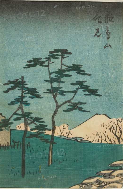 Flower Viewing at Asuka Hill (Asukayama hanami), section of a sheet from the series..., 1852. Creator: Ando Hiroshige.