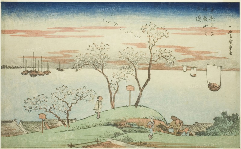 Evening Cherry Blossoms at Goten Hill (Gotenyama no yuzakura), from the series..., c. 1831. Creator: Ando Hiroshige.