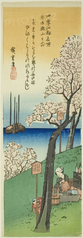 Flowers at Goten Hill in Spring (Haru Gotenyama no hana), from the series "Famous..., c. 1832/34. Creator: Ando Hiroshige.