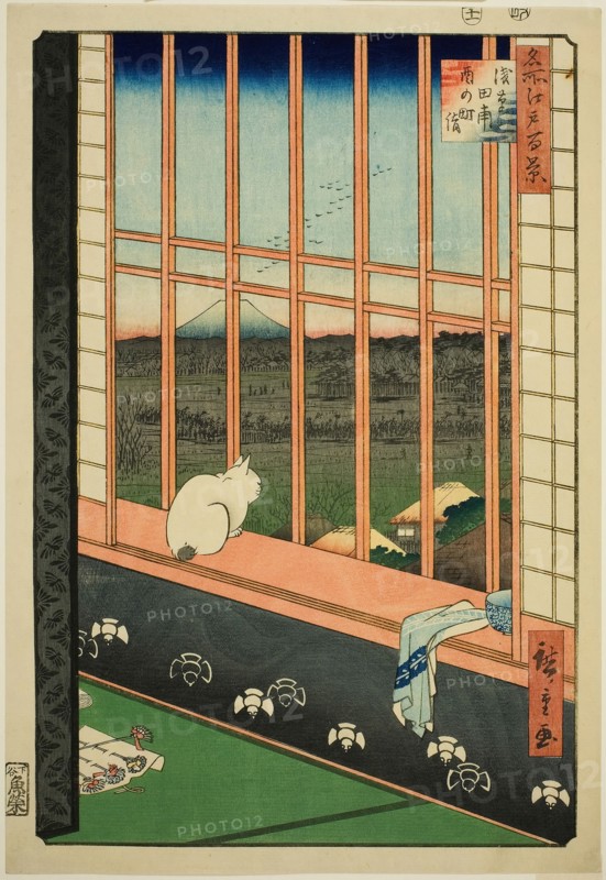 Asakusa Rice Fields and Torinomachi Festival (Asakusa tanbo Torinomachi mode..., 1857. Creator: Ando Hiroshige.