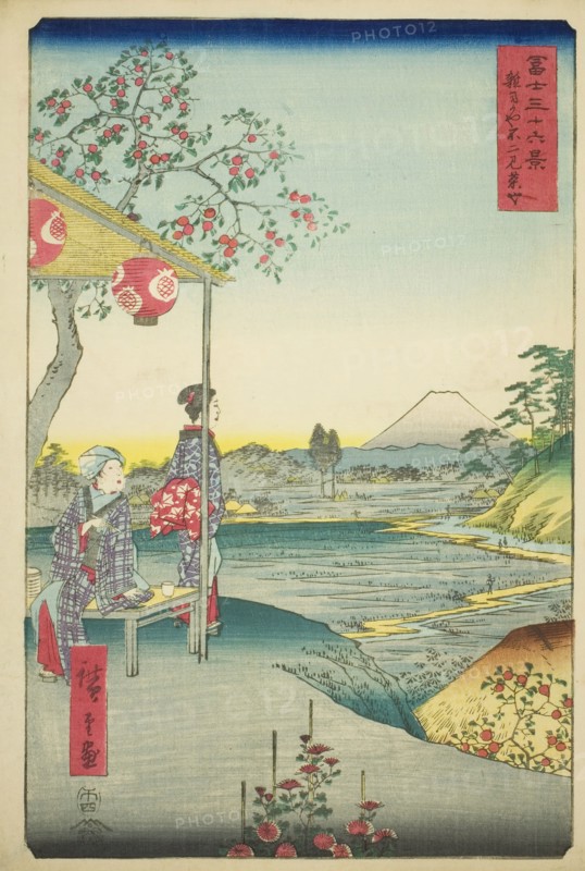 View of Mount Fuji from a Teahouse at Zoshigaya (Zoshigaya Fujimi chaya), from the..., 1858. Creator: Ando Hiroshige.