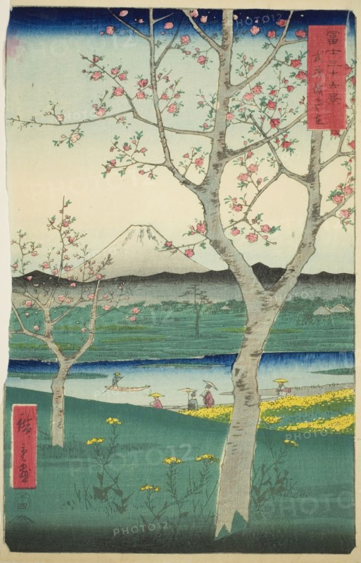 The Outskirts of Koshigaya in Musashi Province (Musashi Koshigaya zai), from the..., 1858. Creator: Ando Hiroshige.