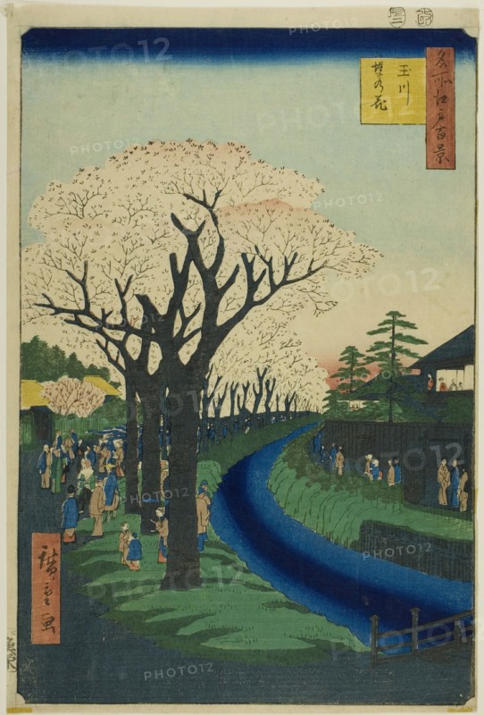 Blossoms on the Tama River Embankment (Tamagawa-zutsumi no hana), from the series..., 1856. Creator: Ando Hiroshige.