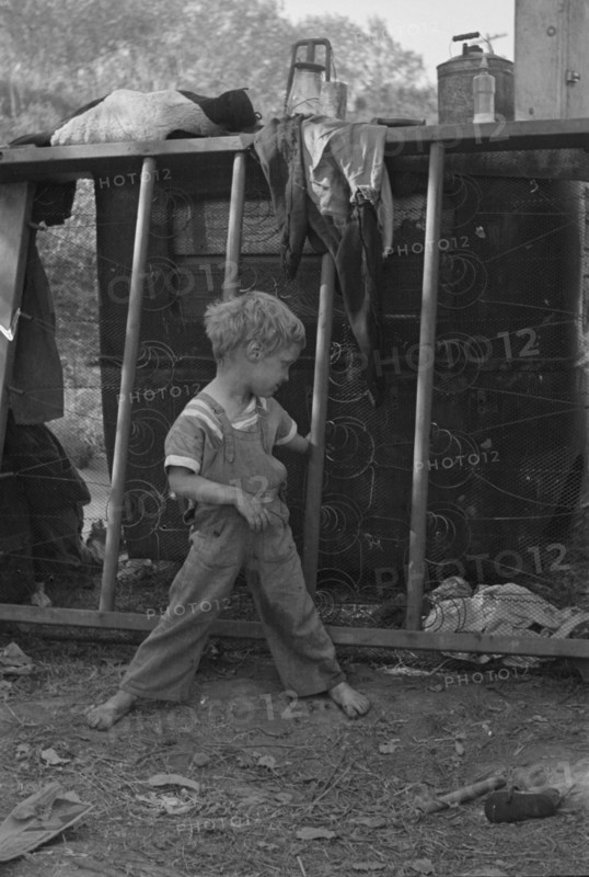 Son of destitute migrant, American River camp, near Sacramento, California, 1936. Creator: Dorothea Lange.