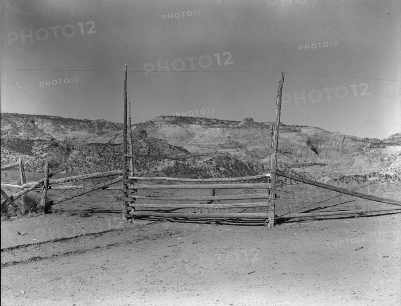 From the village to the field, Escalante, Utah, 1936. Creator: Dorothea Lange.