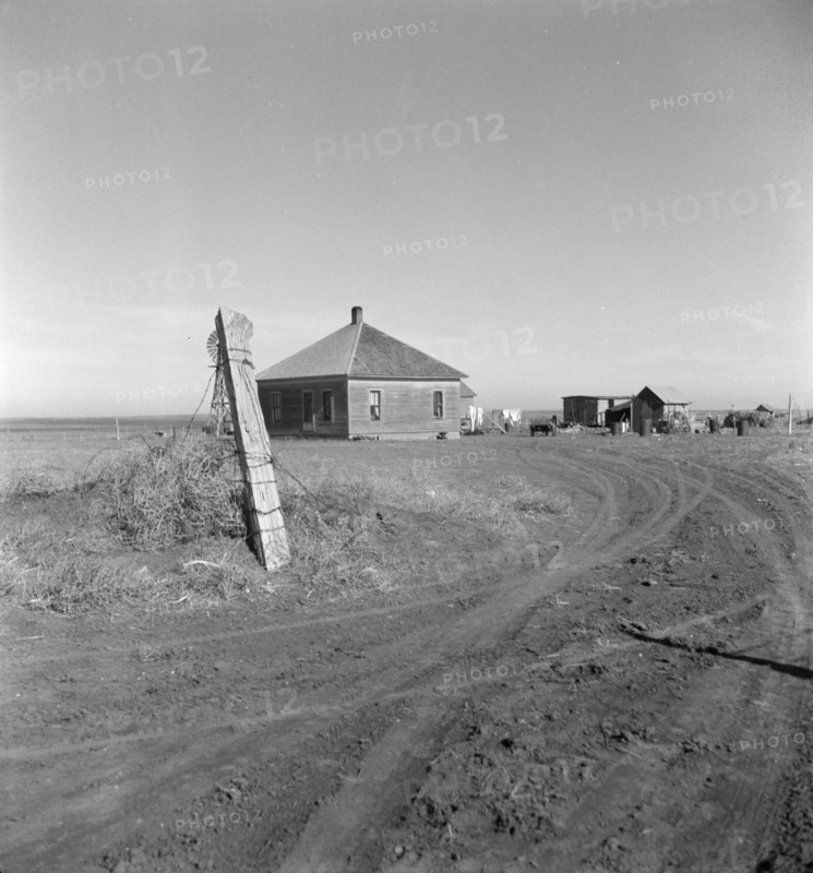 Typical farm in the Mills area, New Mexico, 1935. Creator: Dorothea Lange.