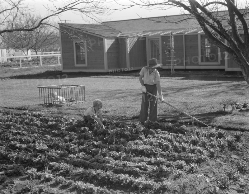 El Monte federal subsistence homesteads, California, 1936. Creator: Dorothea Lange.