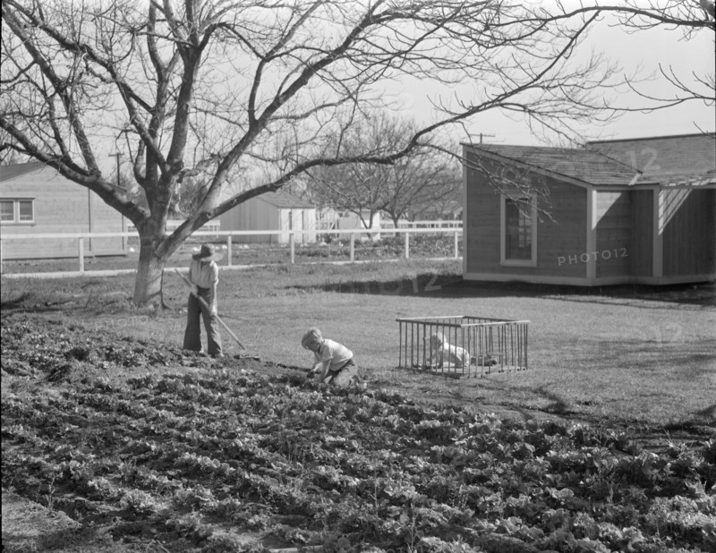 El Monte federal subsistence homesteads, California, 1936. Creator: Dorothea Lange.
