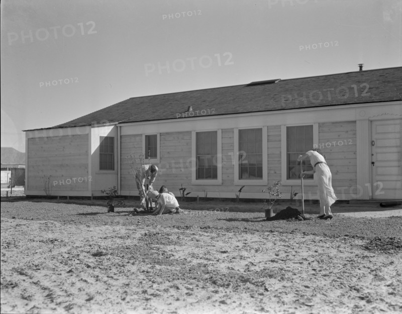 San Fernando federal subsistence homesteads, California, 1936. Creator: Dorothea Lange.