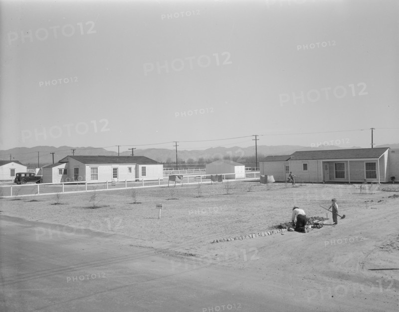 San Fernando federal subsistence homesteads, California, 1936. Creator: Dorothea Lange.