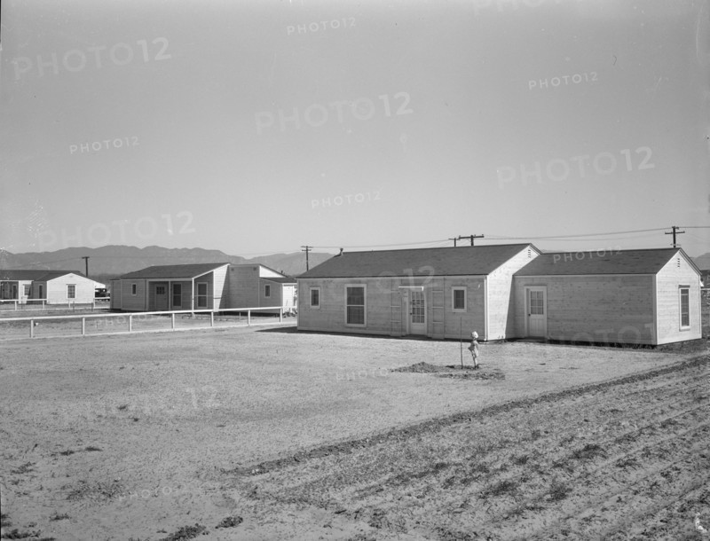 San Fernando federal subsistence homesteads, California, 1936. Creator: Dorothea Lange.