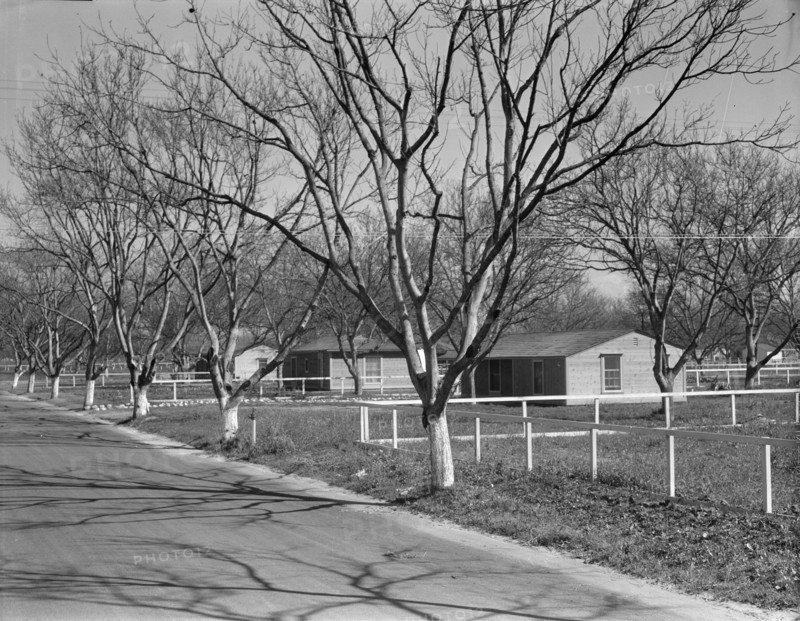 El Monte federal subsistence housing - 100 homes all occupied, California, 1936. Creator: Dorothea Lange.