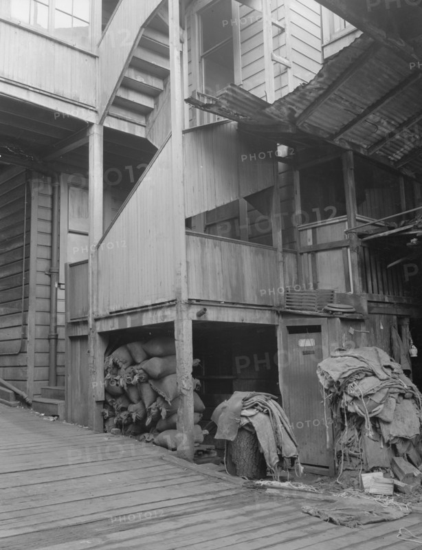 Backyard, North Beach District (Italians), San Francisco, California, 1936. Creator: Dorothea Lange.