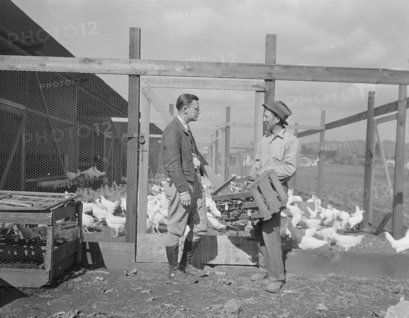 Rural Rehabilitation Administration client with the Rehabilitation Administration..., CA, 1936. Creator: Dorothea Lange.