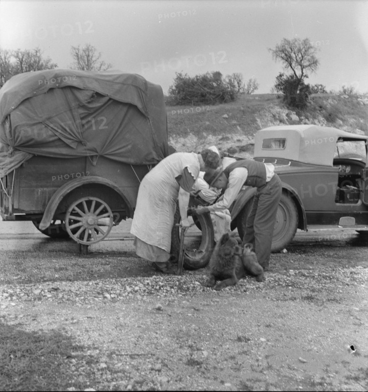 Migrant pea pickers on the road, California, 1936. Creator: Dorothea Lange.