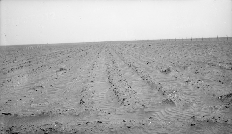 An example of how listing soil into furrows helps impede erosion, Mills, New Mexico, 1935. Creator: Dorothea Lange.