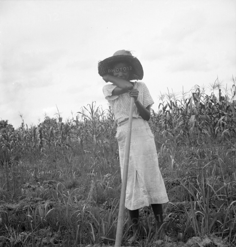 Negro girl working in the fields, Mississippi Delta, 1936. Creator: Dorothea Lange.