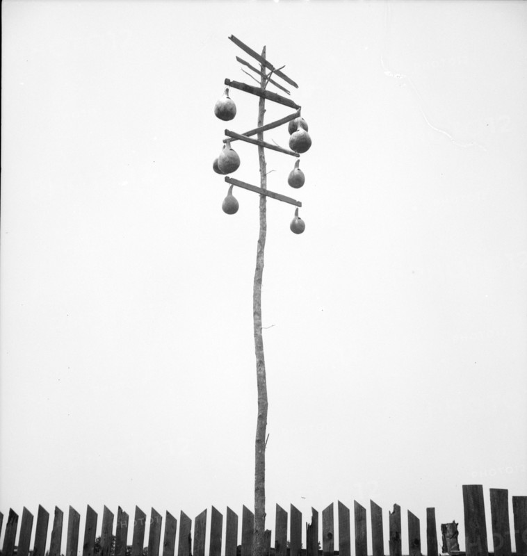Nests for the martin, to keep the hawks away, familiar sight in the Georgia rural landscape, 1936. Creator: Dorothea Lange.