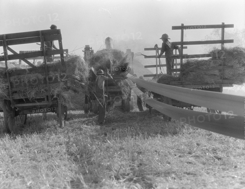The threshing of oats, Clayton, Indiana, south of Indianapolis, 1936. Creator: Dorothea Lange.
