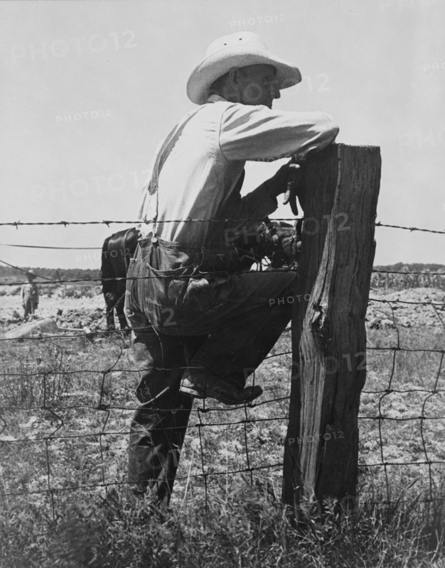 Indiana farmer, 1936. Creator: Dorothea Lange.