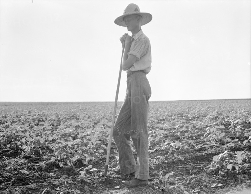 The long line of Texas, Near Dallas, 1936. Creator: Dorothea Lange.