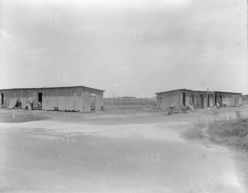 Cotton pickers camp near Robstown, Texas, 1936. Creator: Dorothea Lange.