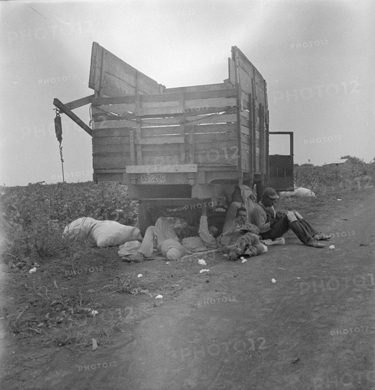 Cotton pickers' lunchtime, near Corpus Christi, Texas, 1936. Creator: Dorothea Lange.