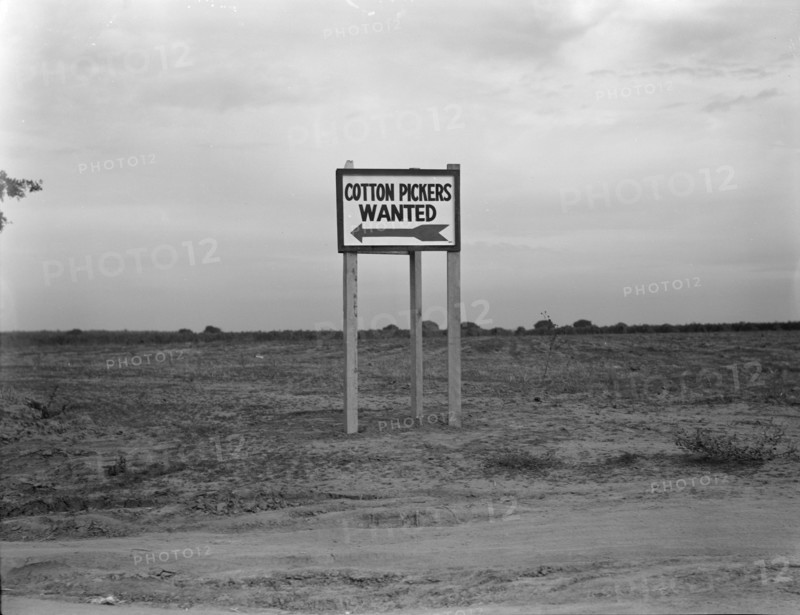 Along U.S. Highway 99, Southern San Joaquin Valley, California, 1936. Creator: Dorothea Lange.