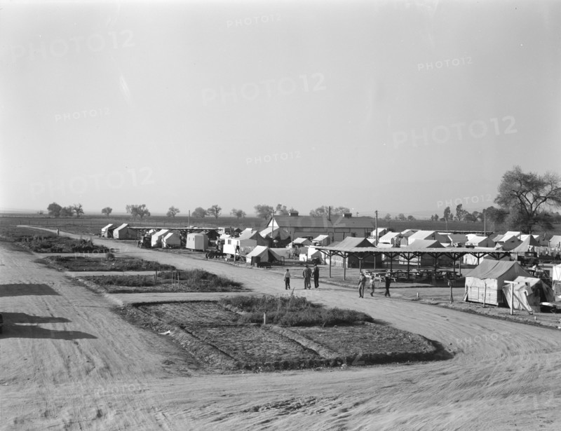 View of Kern County migrant camp showing community garden plots, California, 1936. Creator: Dorothea Lange.