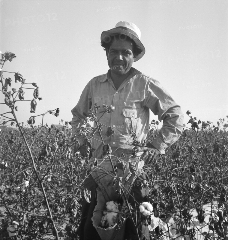 Cotton picker, San Joaquin Valley, California, 1936. Creator: Dorothea Lange.