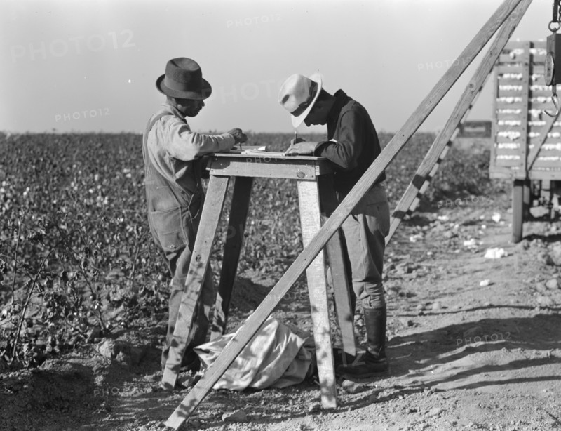 Cotton checkers, San Joaquin Valley, California, 1936. Creator: Dorothea Lange.