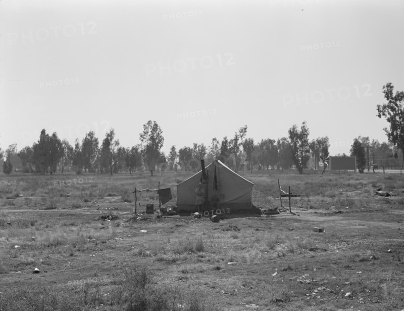 Children of drought refugees camped by highway outside of Fresno, California, 1936. Creator: Dorothea Lange.