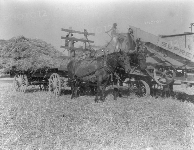 The threshing of oats, Clayton, Indiana, south of Indianapolis, 1936 Creator: Dorothea Lange.