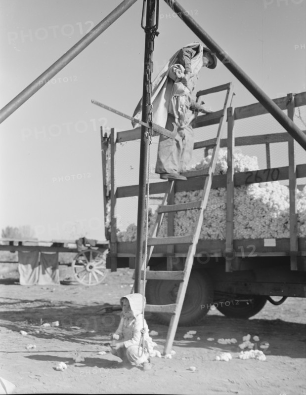 Cotton weigher, Southern San Joaquin Valley, California, 1936. Creator: Dorothea Lange.