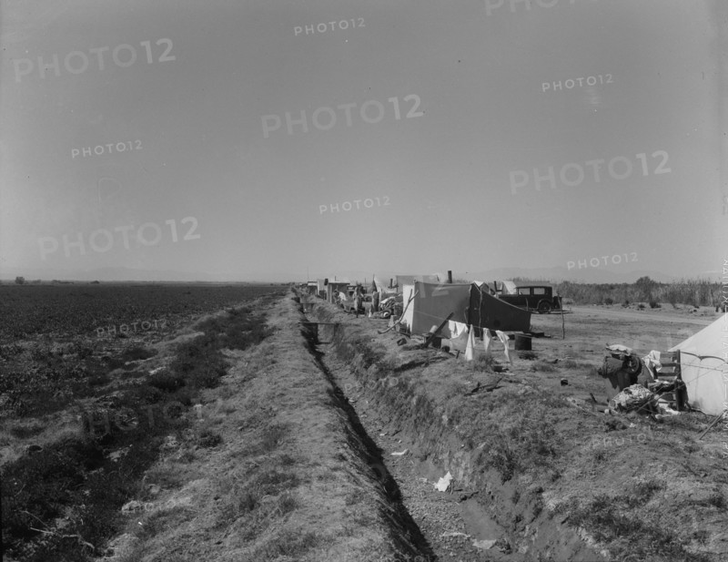 Squatter camp on county road near Calipatria, 1937. Creator: Dorothea Lange.