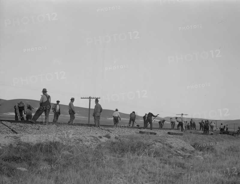 White section gang near King City, California, 1937. Creator: Dorothea Lange.