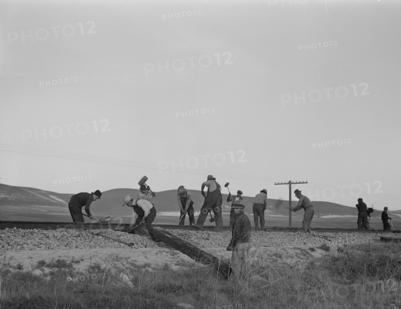 White section gang near King City, California, 1937. Creator: Dorothea Lange.