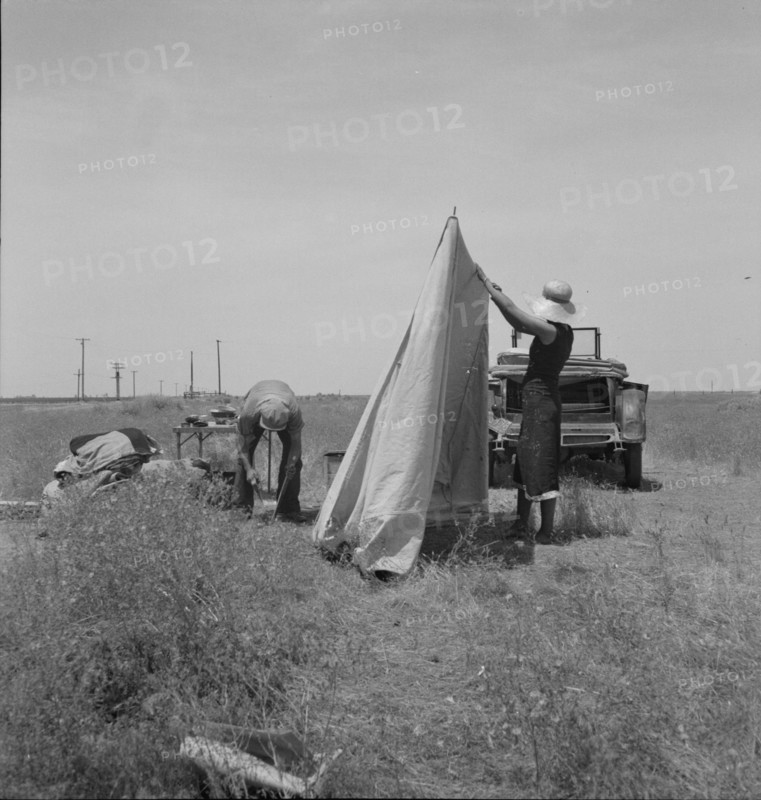 Migrant potato pickers pitching..., Near Shafter, California, 1937. Creator: Dorothea Lange.