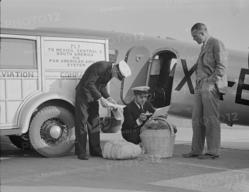 Plant quarantine inspectors examining baggage from Mexico, Glendale Airport, California, 1937. Creator: Dorothea Lange.