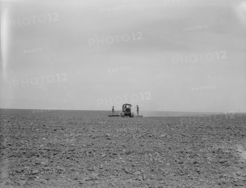 Harrowing a 2,000 acre wheat field, Antelope Valley, Los Angeles County, California, 1937. Creator: Dorothea Lange.