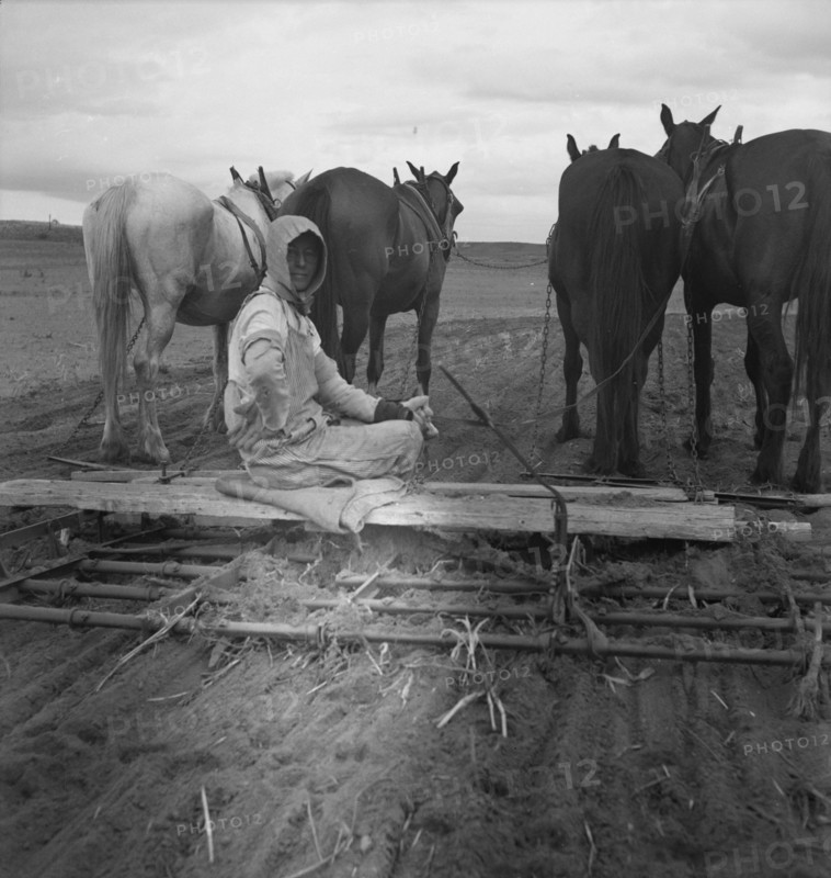 West Texas tenant farmer's wife, 1937. Creator: Dorothea Lange.