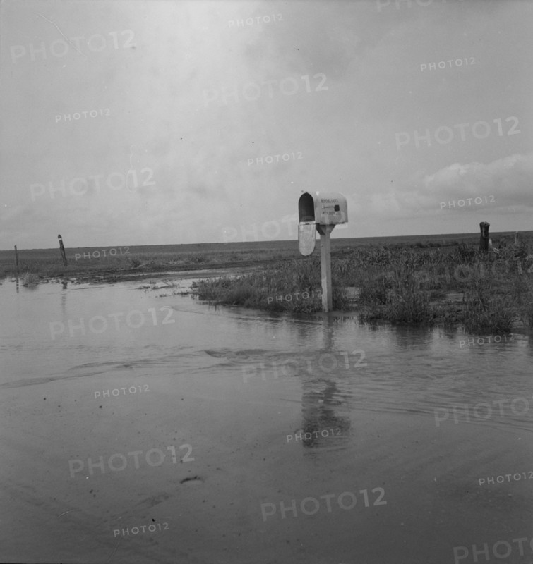 This year (1937) there are floods and heavy rains in the Dust Bowl, Texas, 1937. Creator: Dorothea Lange.