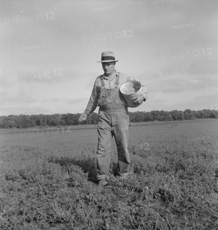 Tenant farmer spreading grasshopper bait, Oklahoma, 1937. Creator: Dorothea Lange.