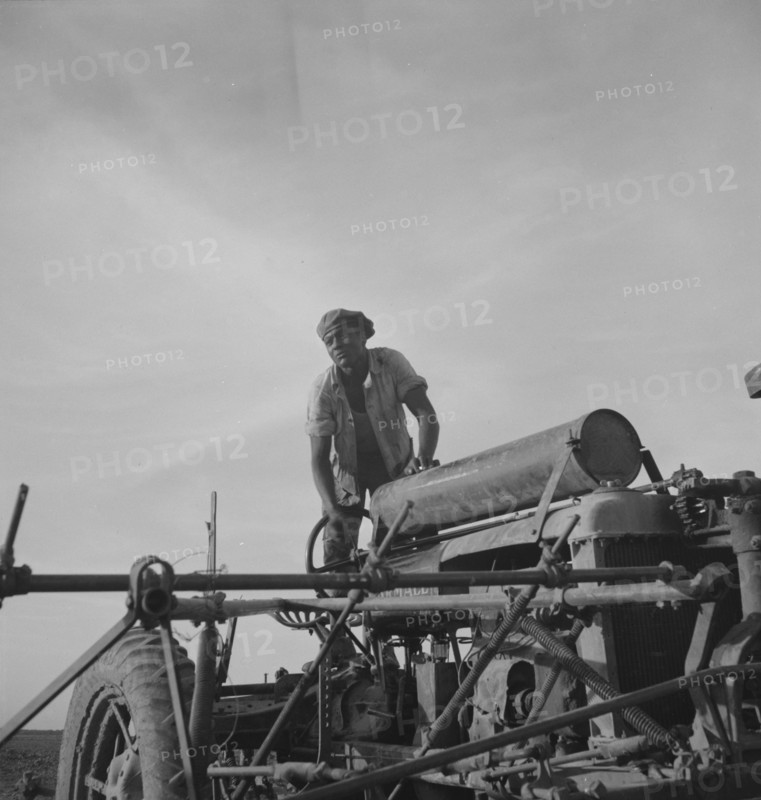 Negro tractor driver, Aldridge Plantation, Mississippi, 1937. Creator: Dorothea Lange.