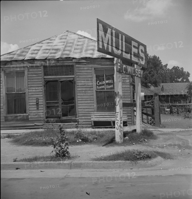 Services for Negroes in a Mississippi Delta town, Leland, Mississippi, 1937. Creator: Dorothea Lange.