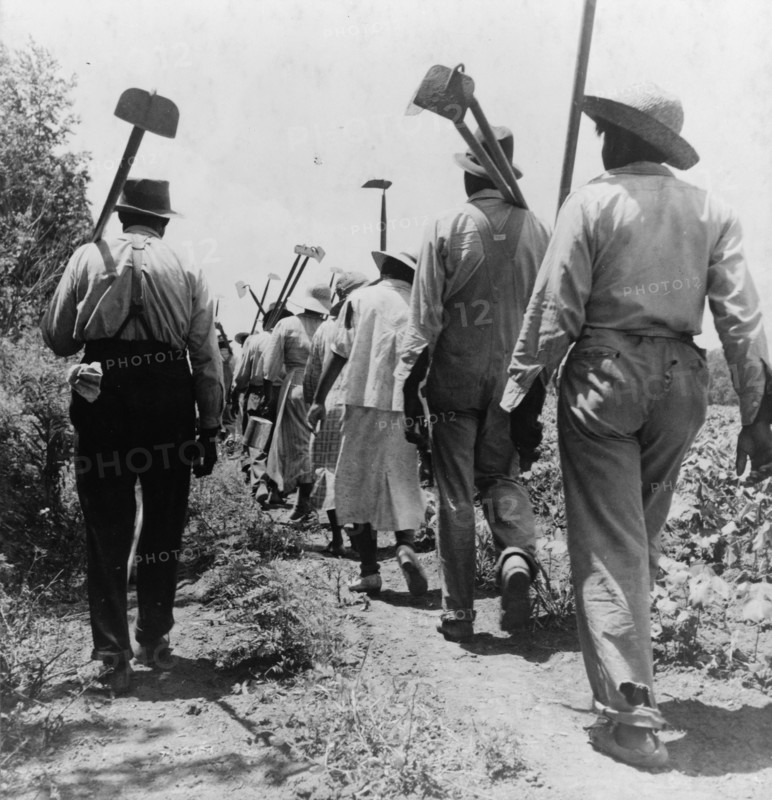 These cotton hoers work from 6 am to 7 pm for one dollar near Clarksdale, Mississippi, 1937. Creator: Dorothea Lange.
