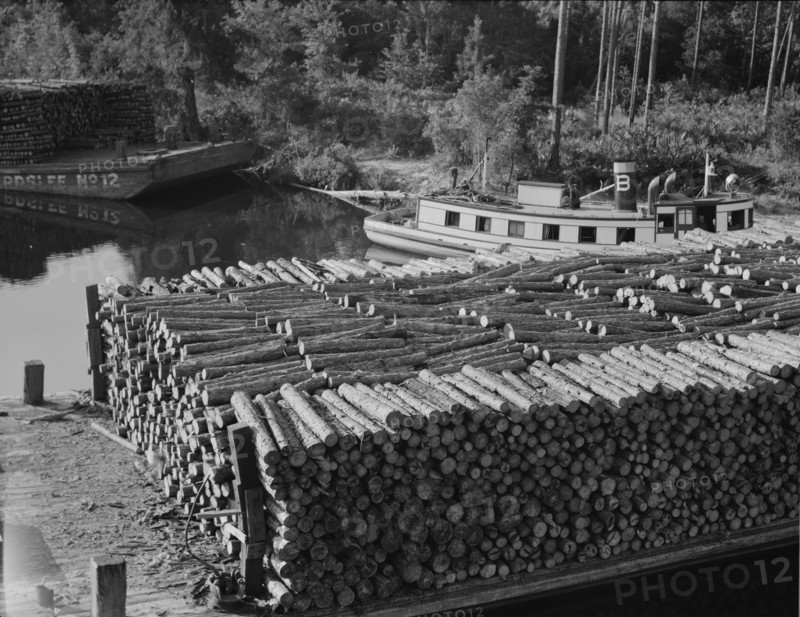 Pulp wood going down the River Styx to Mobile by inland waterway near Robertsdale, Alabama, 1937. Creator: Dorothea Lange.