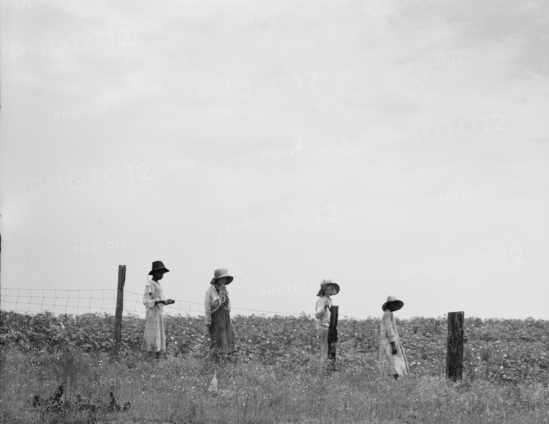 Cotton hoers leaving the fields for lunch, Georgia, 1937. Creator: Dorothea Lange.