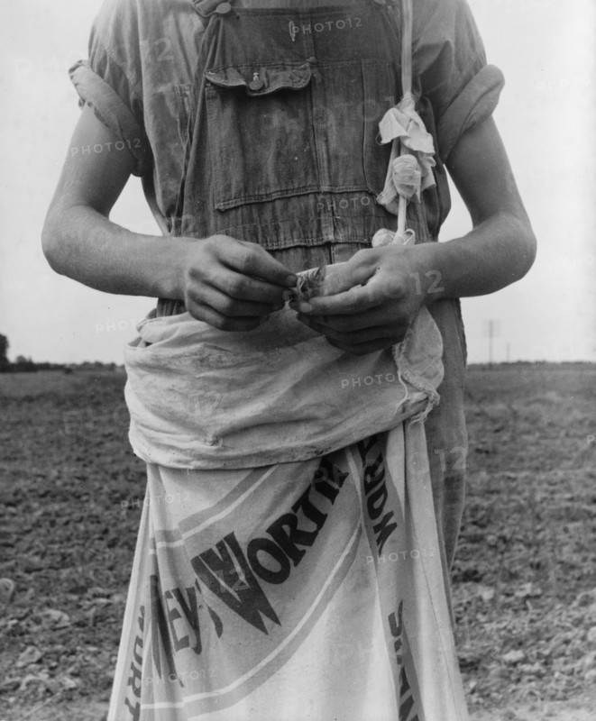 Farm boy with sack full of boll weevils...off of cotton plants, Macon County, Georgia, 1937. Creator: Dorothea Lange.