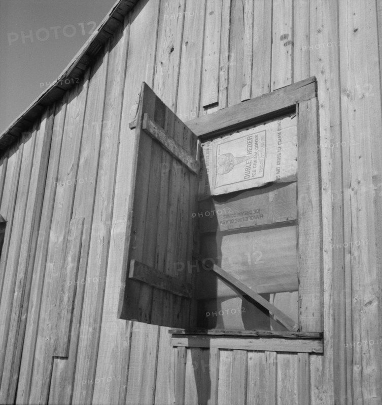 Cotton laborer's house, Louisiana, 1937. Creator: Dorothea Lange.